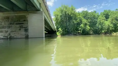 Nature meets concrete under a bright summer sky.